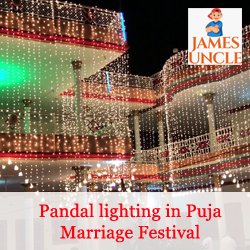 Pandal lighting in Puja Marriage Festival Mr. Manojit Debnath in Arjunpur